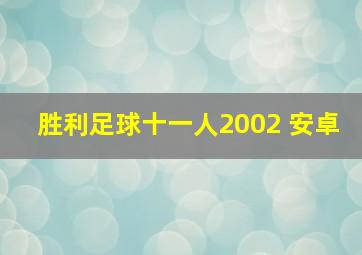 胜利足球十一人2002 安卓